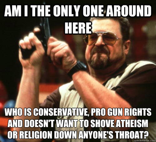 Am i the only one around here Who is conservative, pro gun rights and doesn't want to shove atheism or religion down anyone's throat?  Am I The Only One Around Here
