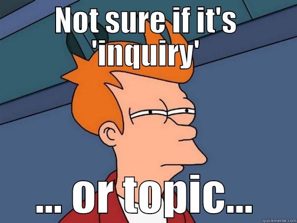 NOT SURE IF IT'S 'INQUIRY' ... OR TOPIC... Futurama Fry