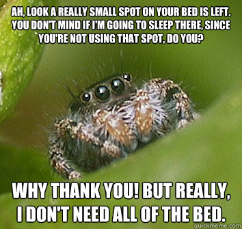 Ah, look a really small spot on your bed is left. You don't mind if I'm going to sleep there, since you're not using that spot, do you? Why thank you! But really, I don't need ALL of the bed.  Misunderstood Spider