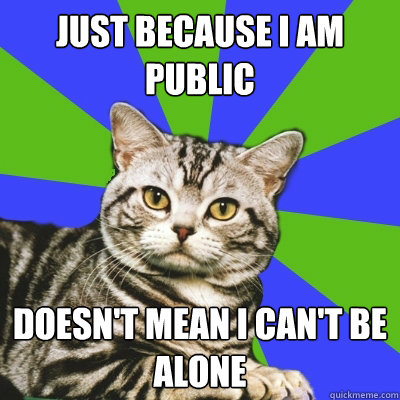just because i am public doesn't mean i can't be alone - just because i am public doesn't mean i can't be alone  Introvert Cat