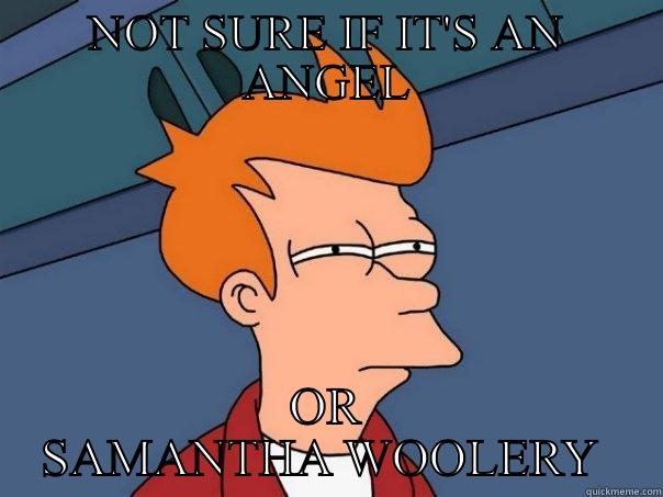NOT SURE IF IT'S AN ANGEL OR SAMANTHA WOOLERY  Futurama Fry
