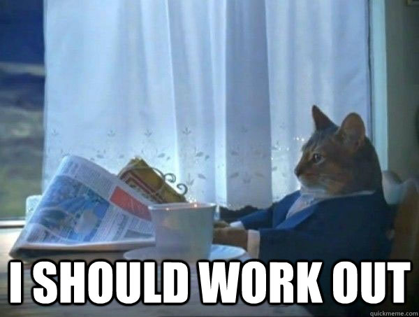  I should work out  morning realization newspaper cat meme