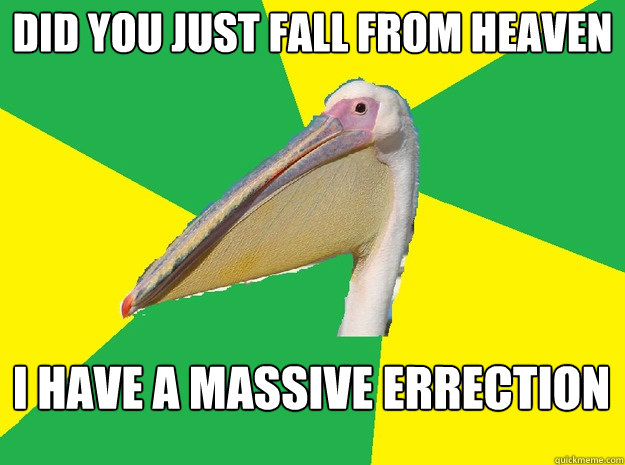 Did you just fall from heaven I have a massive errection  Anti Pick Up Line Pelican
