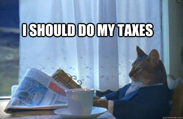 I should do my taxes  Sophisticated Cat