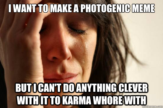 I want to make a photogenic meme but I can't do anything clever with it to karma whore with  First World Problems