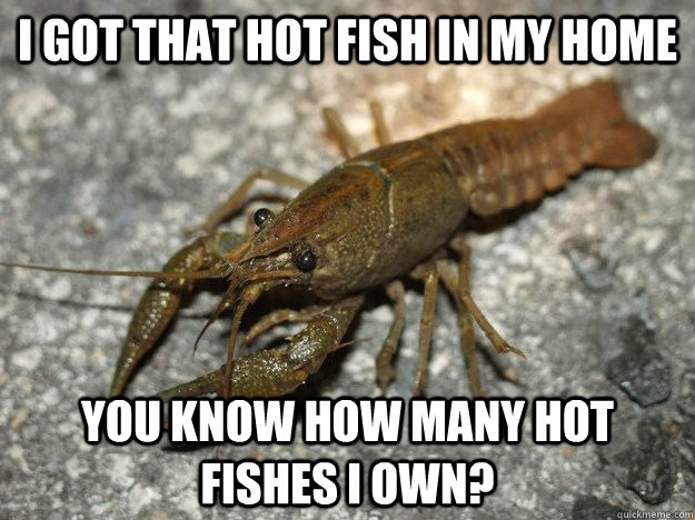 I got that hot fish in my home You know how many hot fishes I own?  that fish cray