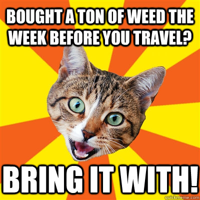 bought a ton of weed the week before you travel? Bring it with!  Bad Advice Cat