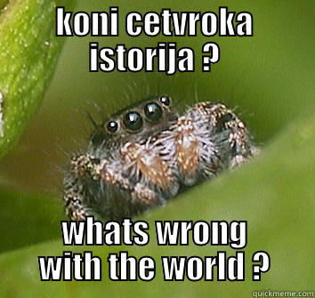 KONI CETVROKA ISTORIJA ? WHATS WRONG WITH THE WORLD ? Misunderstood Spider