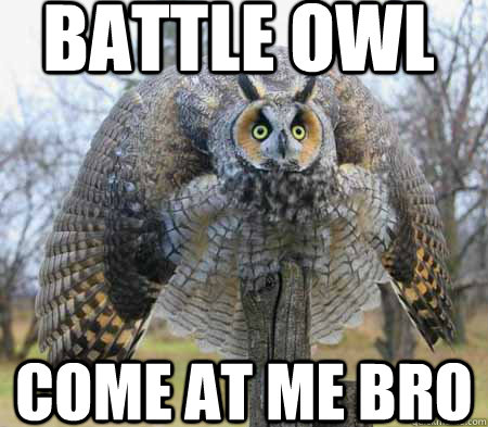 battle owl come at me bro  