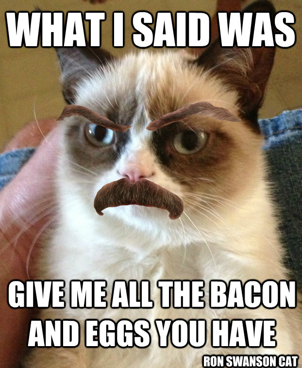 what i said was give me all the bacon and eggs you have Ron Swanson Cat  Ron Swanson Cat