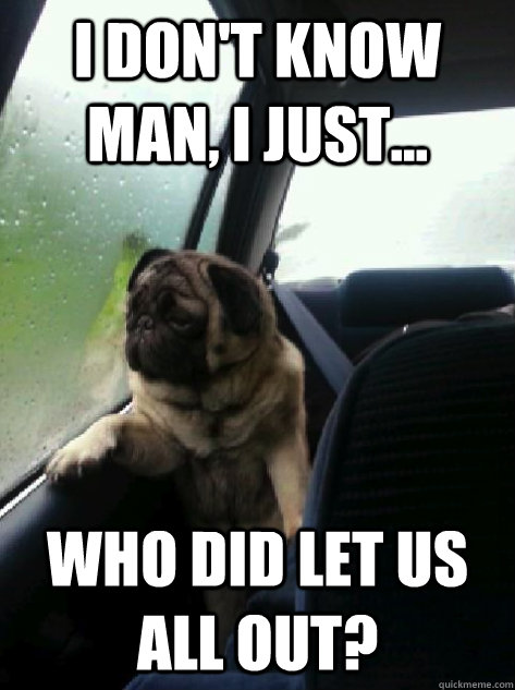 I don't know man, I just... who did let us all out?  Introspective Pug