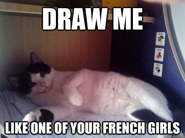 DRAW ME LIKE ONE OF YOUR FRENCH GIRLS  Scumbag Cat