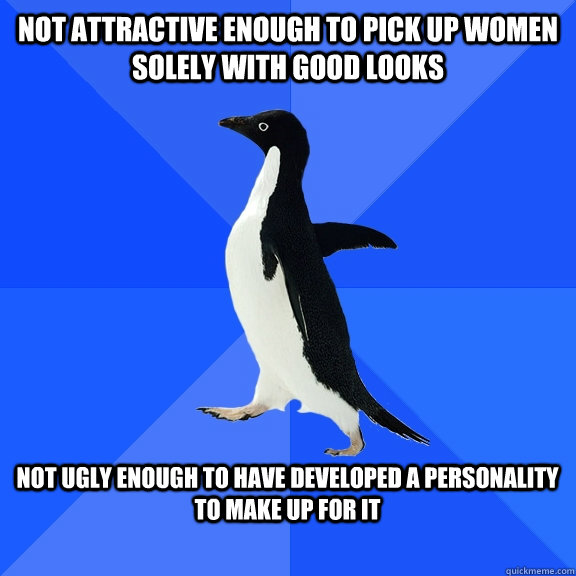 Not attractive enough to pick up women solely with good looks  Not ugly enough to have developed a personality to make up for it   Socially Awkward Penguin