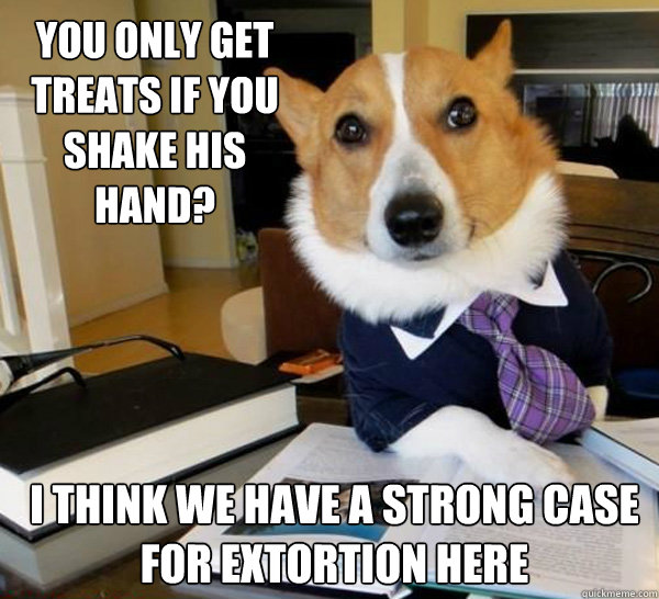 You only get treats if you shake his hand? I think we have a strong case for extortion here  Lawyer Dog