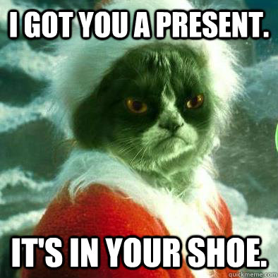 I got you a present. It's in your shoe. - I got you a present. It's in your shoe.  Grumpy Cat Grinch