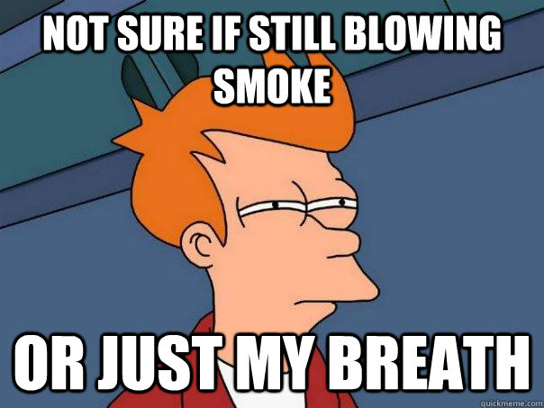 Not sure if still blowing smoke or just my breath - Not sure if still blowing smoke or just my breath  Futurama Fry