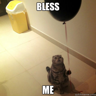 Bless me  Sad Birthday Cat