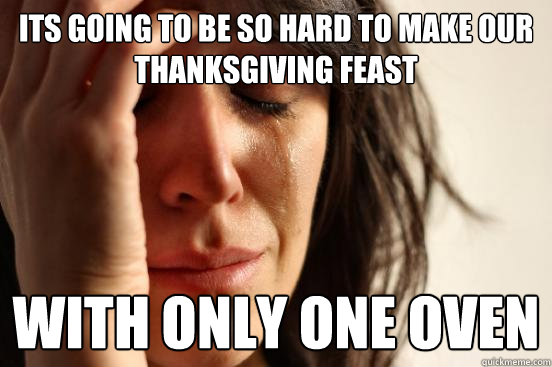 Its going to be so hard to make our thanksgiving feast with only one oven  First World Problems