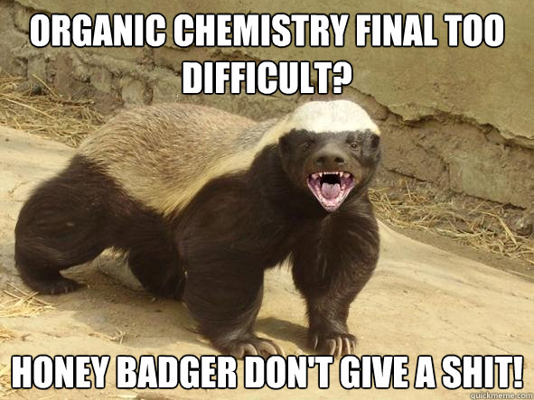 Organic Chemistry Final too difficult? Honey badger don't give a shit!  Indifferent Honey Badger