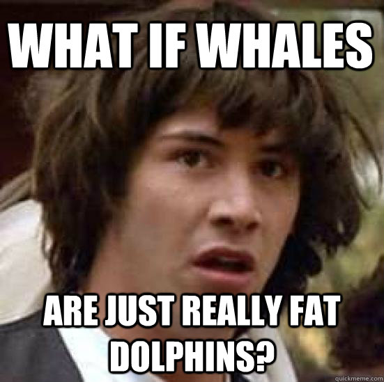 What if whales are just really fat dolphins?  conspiracy keanu