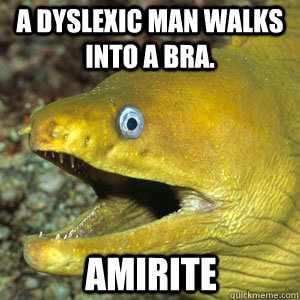 A DYSLEXIC MAN WALKS INTO A BRA. AMIRITE  Amirite Eel