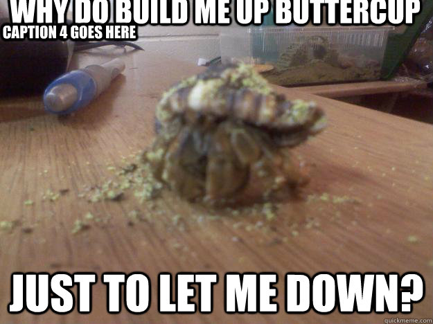 Why do build me up buttercup Just to let me down? Caption 3 goes here Caption 4 goes here  
