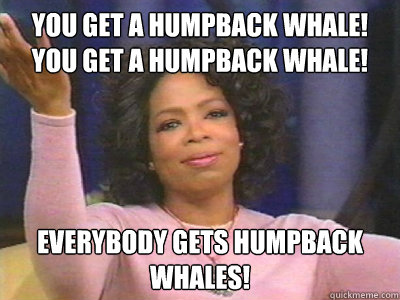 you get a humpback whale! you get a humpback whale! Everybody gets humpback whales! - you get a humpback whale! you get a humpback whale! Everybody gets humpback whales!  Oprah and Whales
