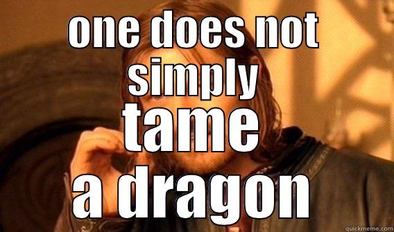 ONE DOES NOT SIMPLY TAME A DRAGON One Does Not Simply