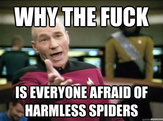 why the fuck is everyone afraid of harmless spiders  Annoyed Picard HD