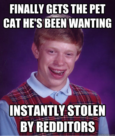 Finally gets the pet cat he's been wanting Instantly stolen by redditors - Finally gets the pet cat he's been wanting Instantly stolen by redditors  Bad Luck Brian