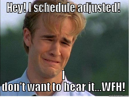 HEY! I SCHEDULE ADJUSTED! I DON'T WANT TO HEAR IT...WFH! 1990s Problems