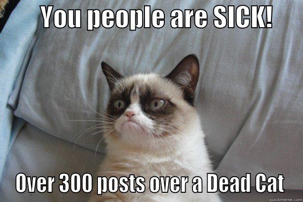         YOU PEOPLE ARE SICK!       OVER 300 POSTS OVER A DEAD CAT Grumpy Cat