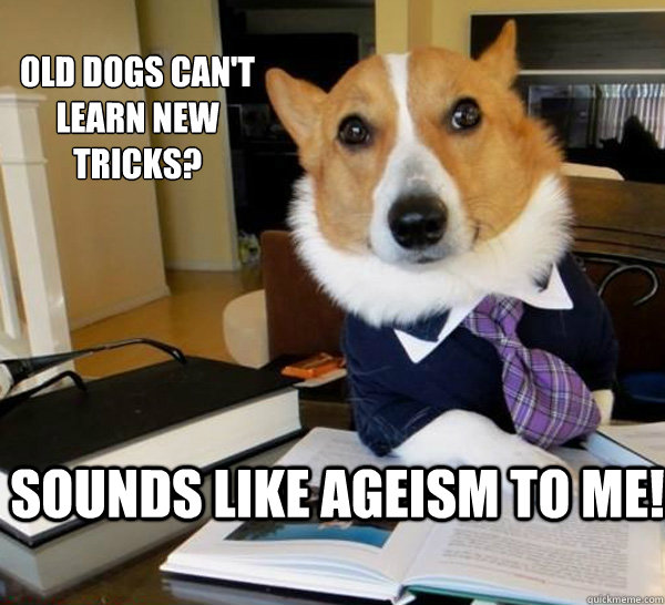 Old dogs can't learn new tricks? sounds like ageism to me!  Lawyer Dog