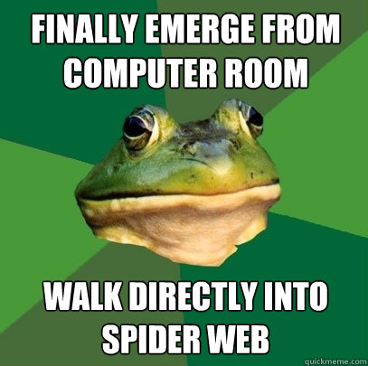 Finally emerge from computer room walk directly into spider web  Foul Bachelor Frog