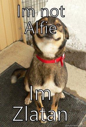 IM NOT ALFIE IM ZLATAN Good Dog Greg