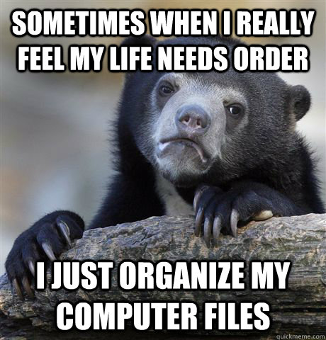 sometimes when i really feel my life needs order i just organize my computer files  Confession Bear
