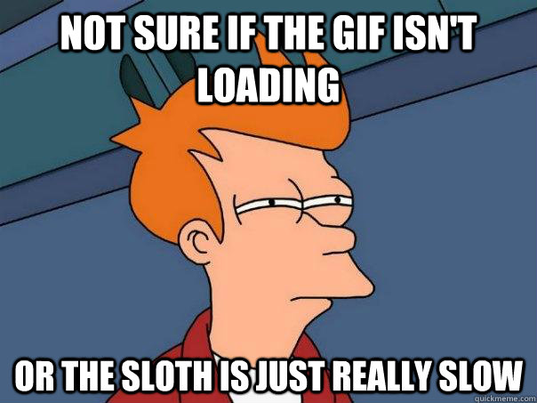 Not sure if the gif isn't loading Or the sloth is just really slow  Futurama Fry