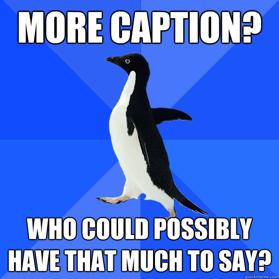 more caption? who could possibly have that much to say?  Socially Awkward Penguin