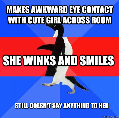 Makes awkward eye contact with cute girl across room she winks and smiles still doesn't say anything to her  Socially Awkward Awesome Awkward Penguin