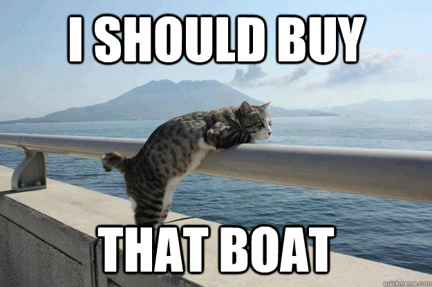 i should buy that boat - i should buy that boat  daydreamer cat