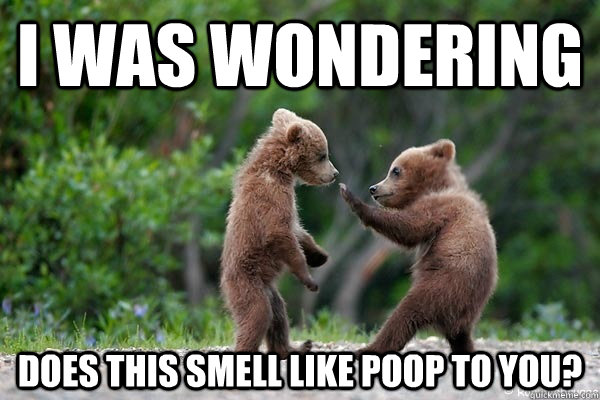 I was wondering does this smell like poop to you? - I was wondering does this smell like poop to you?  Karate Bear