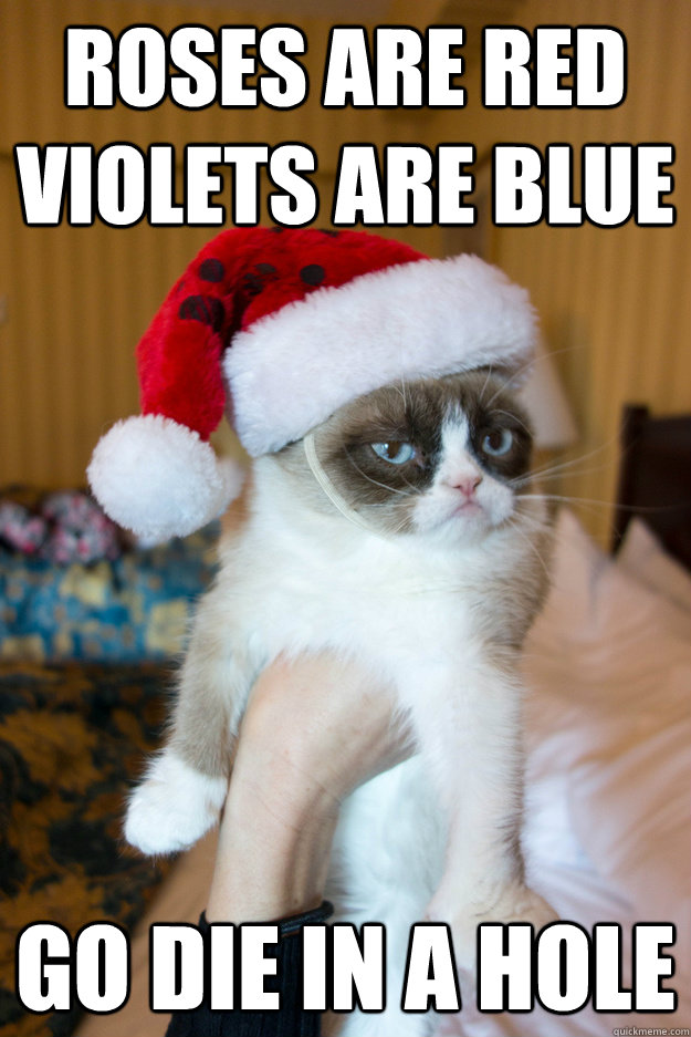 Roses are red Violets are blue Go die in a hole  Grumpy xmas