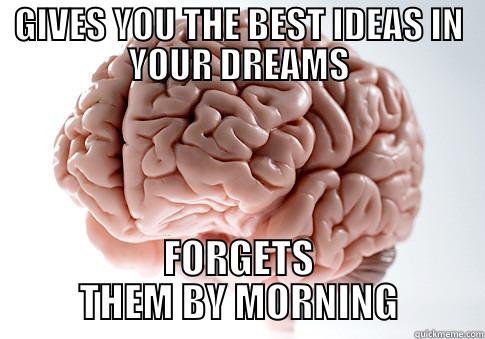 GIVES YOU THE BEST IDEAS IN YOUR DREAMS FORGETS THEM BY MORNING Scumbag Brain