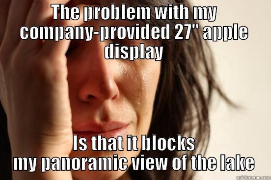 THE PROBLEM WITH MY COMPANY-PROVIDED 27