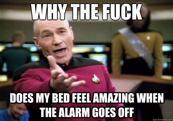 Why the fuck does my bed feel amazing when the alarm goes off - Why the fuck does my bed feel amazing when the alarm goes off  Why The Fuck Picard