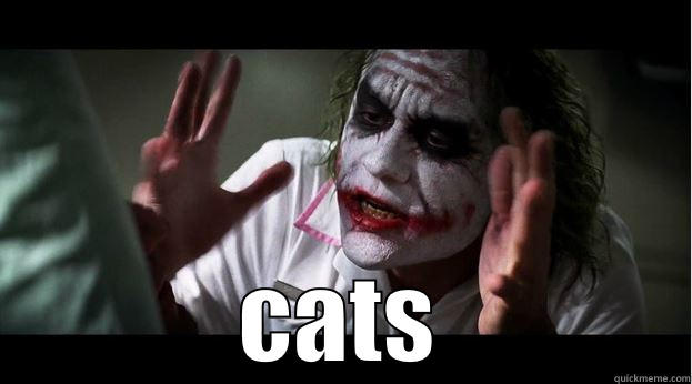  CATS Joker Mind Loss
