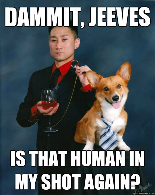 DAMMIT, JEEVES IS THAT HUMAN IN MY SHOT AGAIN?  High Class Corgi