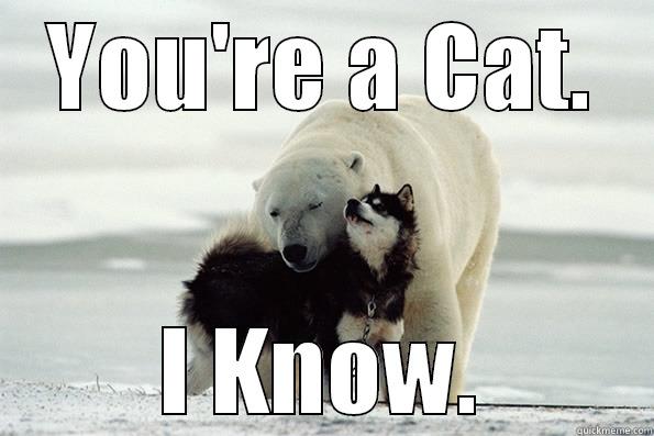 YOU'RE A CAT. I KNOW. Misc