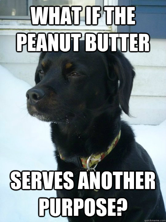 What if the peanut butter serves another purpose?  Philosophical Puppy
