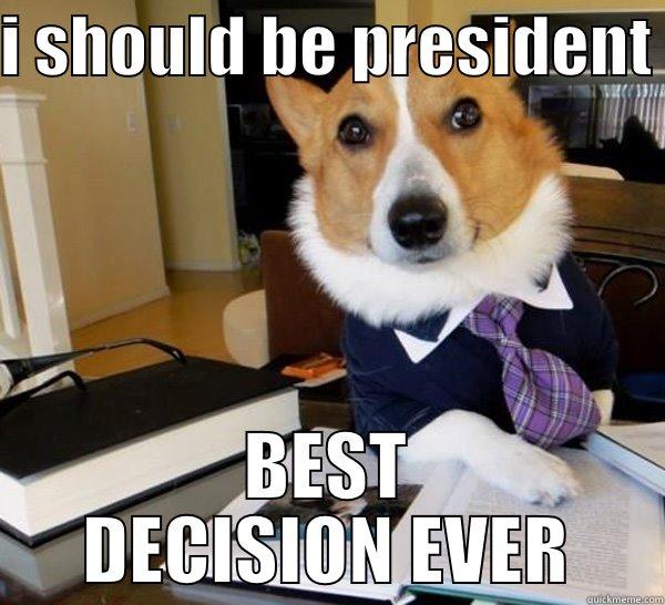 I SHOULD BE PRESIDENT  BEST DECISION EVER Lawyer Dog